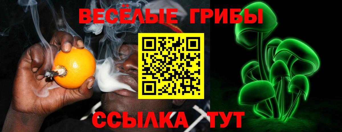 Галлюциногенные грибы Psilocybine cubensis  Галлюциногенные грибы GOLDEN TEACHER  Омск  Вход с VPN 