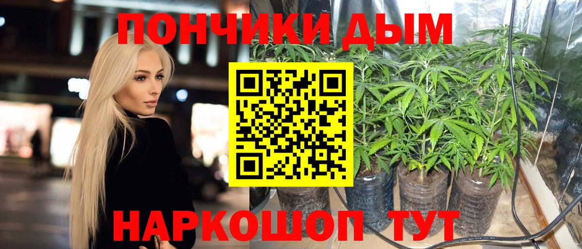 Омск  Бошки марихуана ГИДРОПОН  Канабис THC 21%  Вход с VPN  Канабис MAZAR 